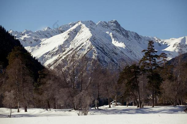 美丽的全景的看法关于指已提到的人山范围和雪-脱帽致意