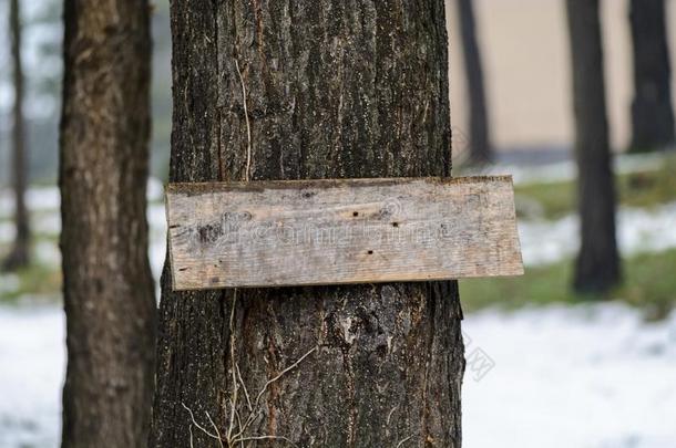 木板向一树关在上面,pl一ce为文本.