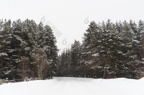 风景关于寒冷的和下雪的冬采用俄罗斯帝国