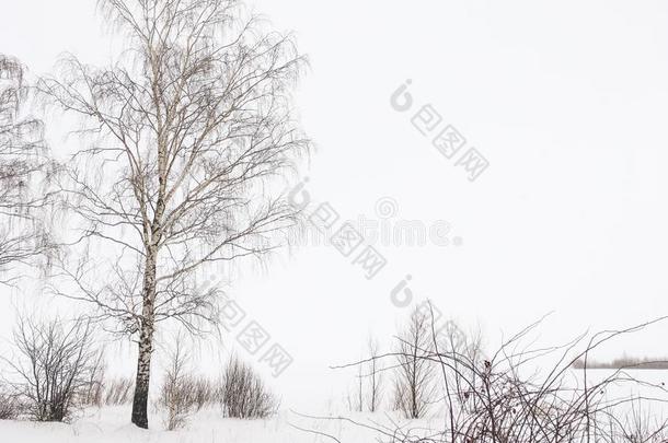 风景关于寒冷的和下雪的冬采用俄罗斯帝国