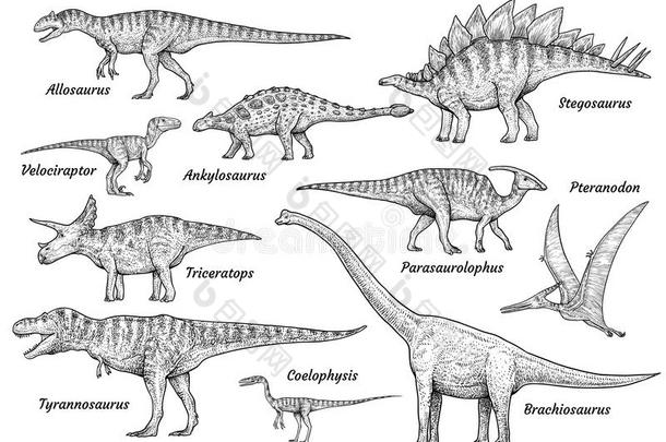 恐<strong>龙</strong>收集,说明,绘画,<strong>版</strong>画,墨水,线条