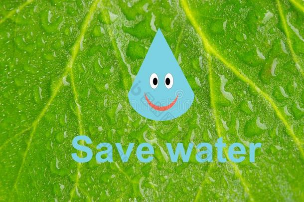 救助水,救助地球和走绿色的