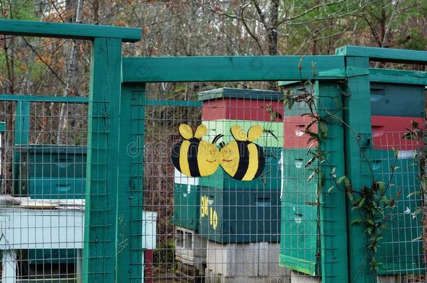 `蜜蜂爱好者`养蜂场股份照片在旁边ZDS公司