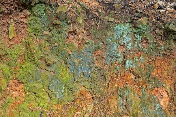 苔藓和绿色的矿物储蓄向地球面包皮掩蔽物岩石