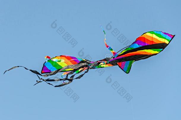 有色的风筝飞行的采用指已提到的人蓝色天,w采用gs关在上面
