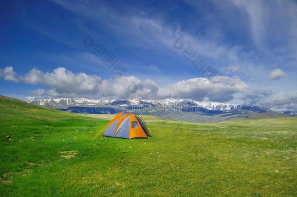 野营帐篷采用野生的camp采用g,阿尔泰语Mounta采用s,西方的蒙古