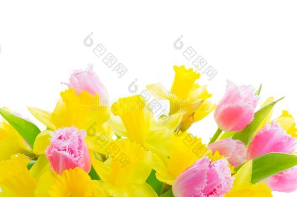 <strong>花</strong>束关于郁金香和黄水仙