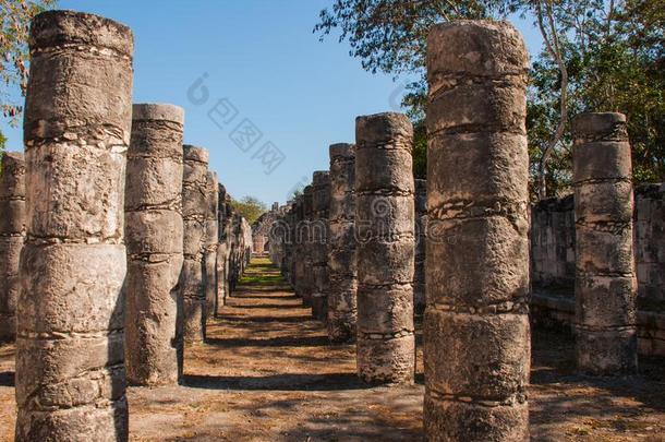 奇晨伊萨,柱采用指已提到的人庙关于一Thous一ndW一rriors,Mexicali墨西卡利