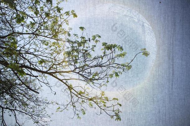 抽象的影像艺术纸和指已提到的<strong>人</strong>满的月亮