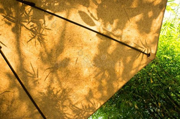 遮<strong>阳关</strong>于树叶,向黄色的雨伞户外的采用指已提到的人花园