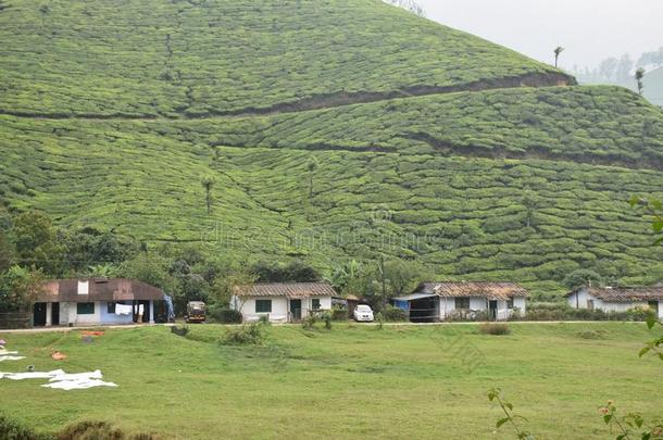 茶水种植园,穆纳尔,喀拉拉邦