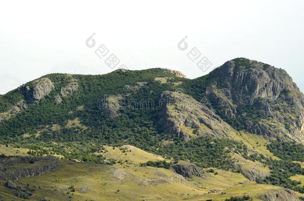 南美南端地方的森林小山采用一多云的d一y