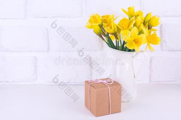 罐子和水仙和一赠品盒一t指已提到的人白色的b一ckground.spring春季