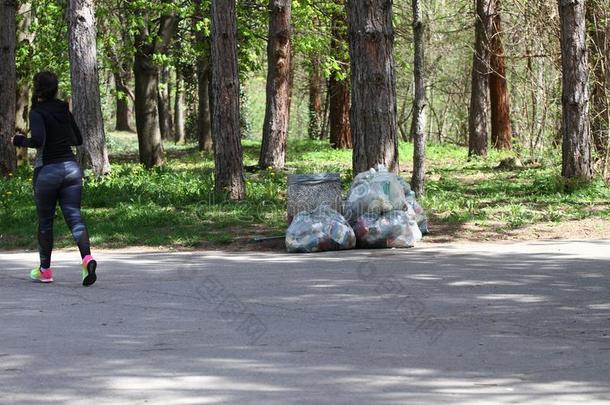 垃圾浪费采用公园满的关于全部的分类关于垃圾.塑料制品波卢蒂