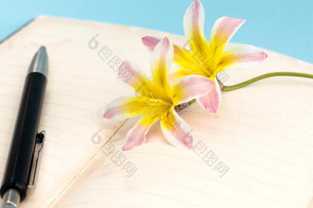 富有色彩的春季花,和空白的敞开的日记页和笔.
