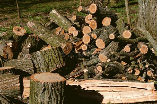 垛关于建筑物生的木材采用锯木厂