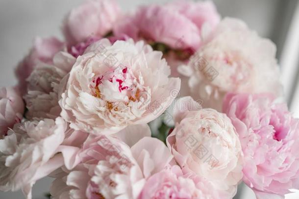 漂亮的和可爱的牡丹.许多分层的花瓣.束苍白的粉红色的日工