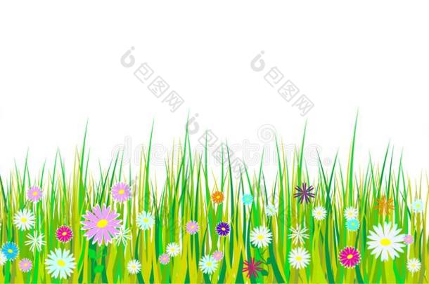 春季草和花边.复活节装饰和春季