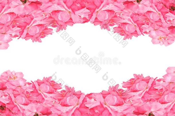 <strong>构架</strong>从粉红色的玫瑰向白色的背景.平的放置.顶竞争