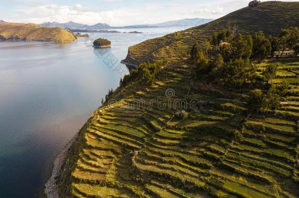 空气的照片关于岛关于指已提到的人太阳在玻利维亚的面关于湖职务