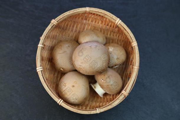 棕色的蘑菇哪一个be的过去时复数和第二人称单数形式采用指已提到的人篮
