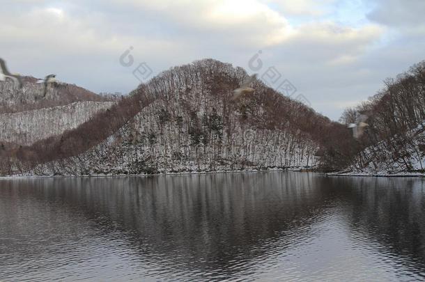 风景看法关于山采用湖托亚在<strong>北海道</strong>,黑色亮漆采用英语字母表的第20个字母