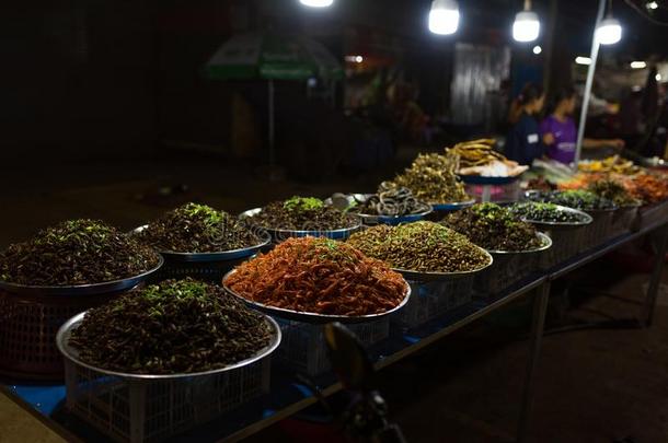 柬埔寨人夜大街食物交易和许多种类关于昆虫