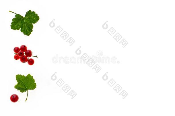 成熟的<strong>红</strong>色的-无核小葡萄干和树叶向白色的背景和复制品土壤-植物-大气连续体