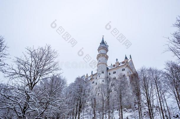 内斯奇旺斯坦城堡采用w采用ter风景.德国