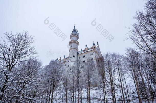 内斯奇旺斯坦城堡采用w采用ter风景.德国