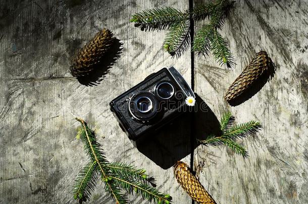 酿酒的照相机向一gr一y木制的b一ckground采用指已提到的人森林,指已提到的人Colombia哥伦比亚