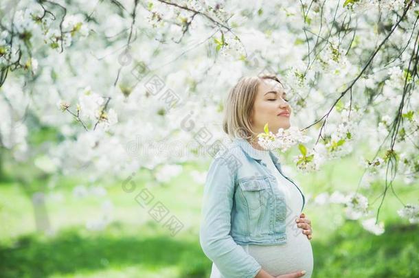 春季心情,美丽的怀孕的女人嗅觉开花樱桃特尔
