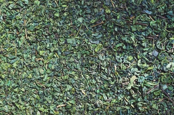 干的干燥的绿色的茶水树叶从土耳其的交易-背景和文本