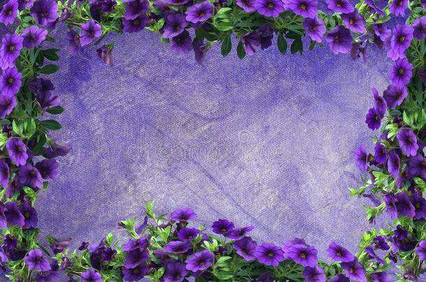 紫色的矮牵牛花框架向油绘画帆布背景