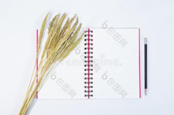 敞开的笔记书和铅笔和草花向背景