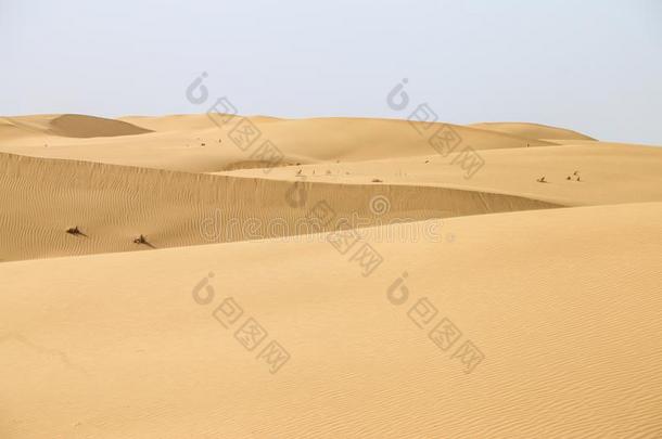 沙漠.内部的蒙古,中国,库布其沙漠