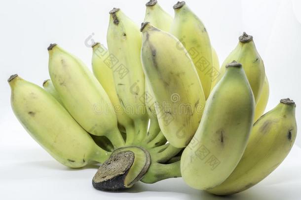 耕种的香蕉向白色的背景,不结盟运动香蕉
