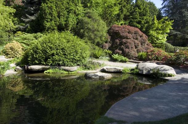 久保田日本人花园和池塘,西雅图,aux.可以