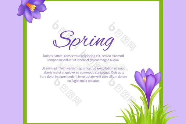<strong>春季海报</strong>和文本采用框架富有色彩的花束