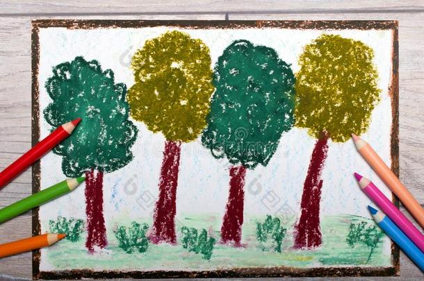 绘画和用彩色蜡笔画:每年落叶的树.春季森林.