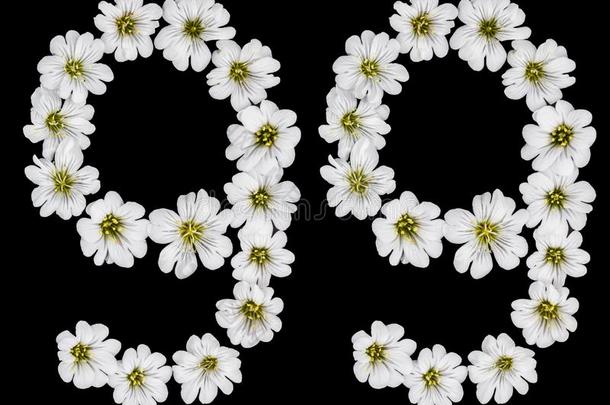 阿拉伯的数词99,num.九十num.九,num.九十,num.九,从白色的花