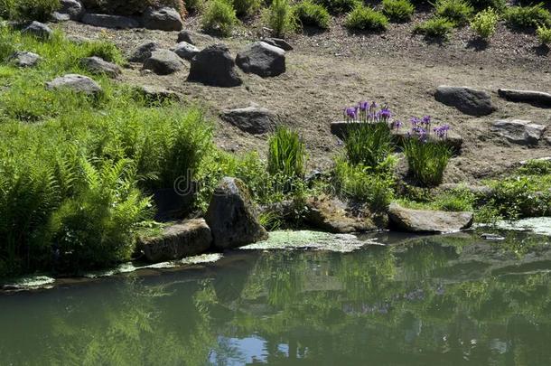 池塘采用<strong>久保田</strong>花园西雅图
