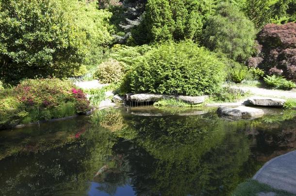 岩石,池塘,挑剔鱼采用久保田花园