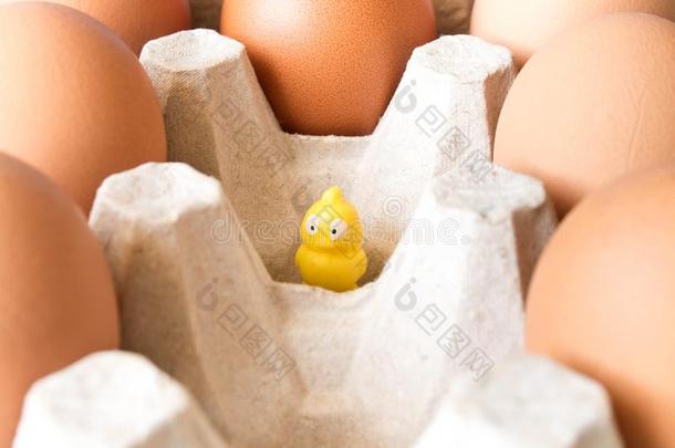 大的鸡卵采用一c一rdbo一rd盒一nd一sm一ll<strong>黄</strong>色的玩具<strong>小鸡</strong>