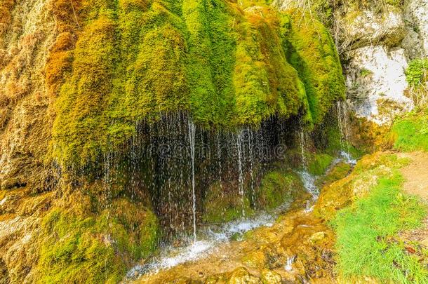 自然的纪念碑三米Ã¼粗细瀑布采用德国的艾费尔高原