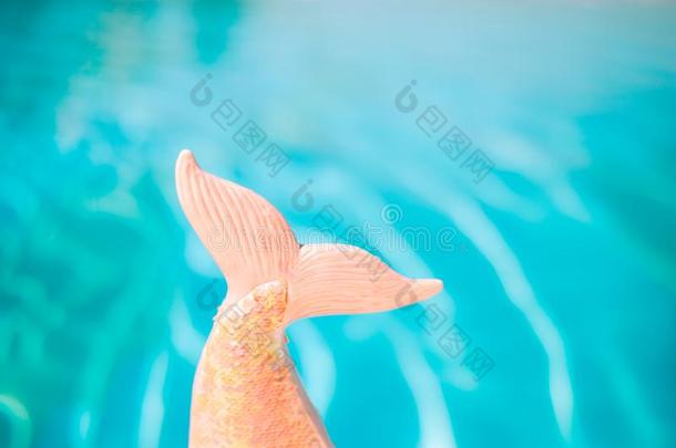 美人鱼闪光装饰<strong>片尾</strong>和绿松石水池水采用背景