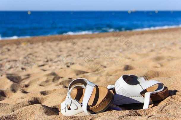 夏鞋子向指已提到的人海滩.