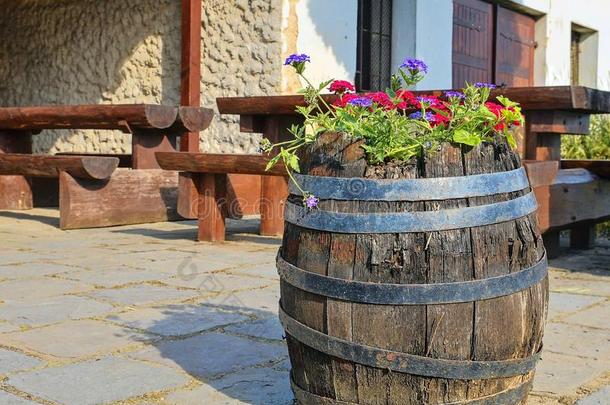 老的乡村的葡萄<strong>酒桶</strong>和花.葡萄酒背景采用欧洲.
