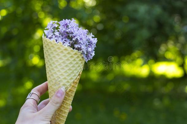 华夫饼冰乳霜圆锥体满的和丁香花属花,观念.冰CostaRica哥斯达黎加