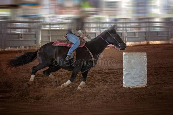 女牛仔乘马在速度采用竞技表演桶速度比赛竞争
